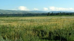 Karim Soipov -  Oromijonim