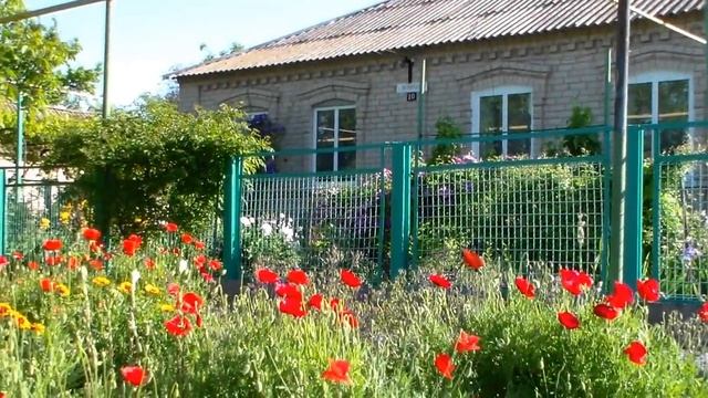 Акимовка - 6