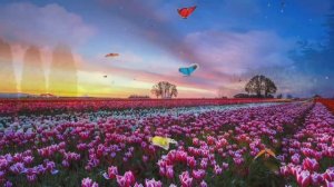 Как прекрасна жизнь с тобой и рядом с тобой ❤️❤️