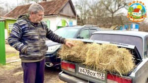 Живём на глухом хуторе, готовимся к зиме. Съездили на Ставрополье.