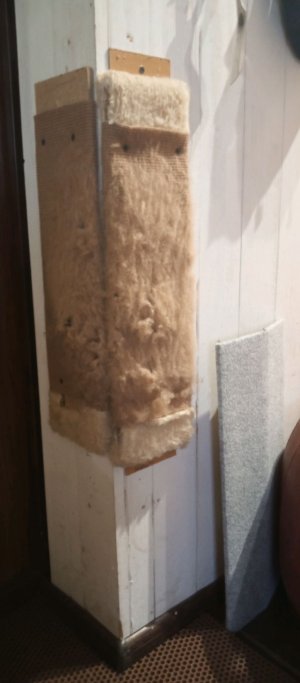 меняем когтеточку коту