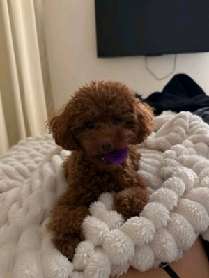 Я делаю маме подарок на др