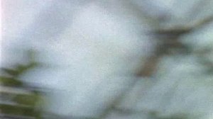 Вы считаете меня ведьмой?