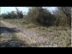 5 октября 2020 г.