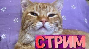 Настроение перед Новым годом🎄