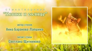 Кошки и солнце (стихи Анна Баранова-Лапшина, читает Светлана Щитникова)