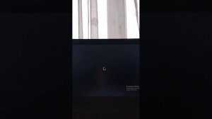 играю в ПК игро утка