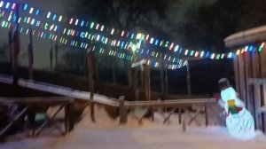 Загородный парк зимой. Здесь можно просто отдохнуть от городской суеты. красиво у нас. ТИШИНА.