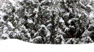 1 января - Сила дня. Как загадать желание и изменить год_