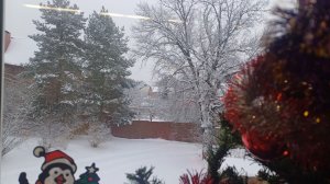 Рабочий вторник...