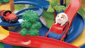 РАЗВЛЕКАТЕЛЬНОЕ ВИДЕО ДЛЯ ДЕТЕЙ