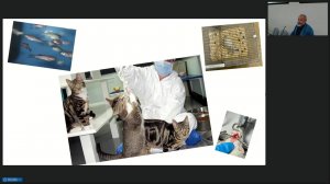 Васильев А.Г. Необходимы ли патофизиологические эксперименты в научных исследованиях и преподавании?