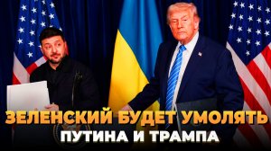 Зеленский сам начнет умолять Трампа и Путина