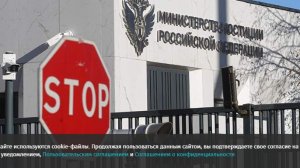 Минюст РФ внес в список нежелательных НПО «Русскоязычные демократки и демократы»