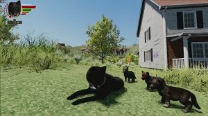 WolfQuest Anniversary Edition №1?