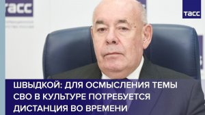 Швыдкой: для осмысления темы СВО в культуре потребуется дистанция во времени