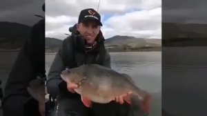 Видео от За Трофеем: Охота и Рыбалка