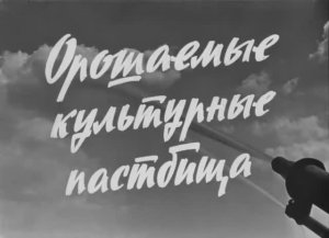 Орошаемые Культурные Пастбища 1970 год