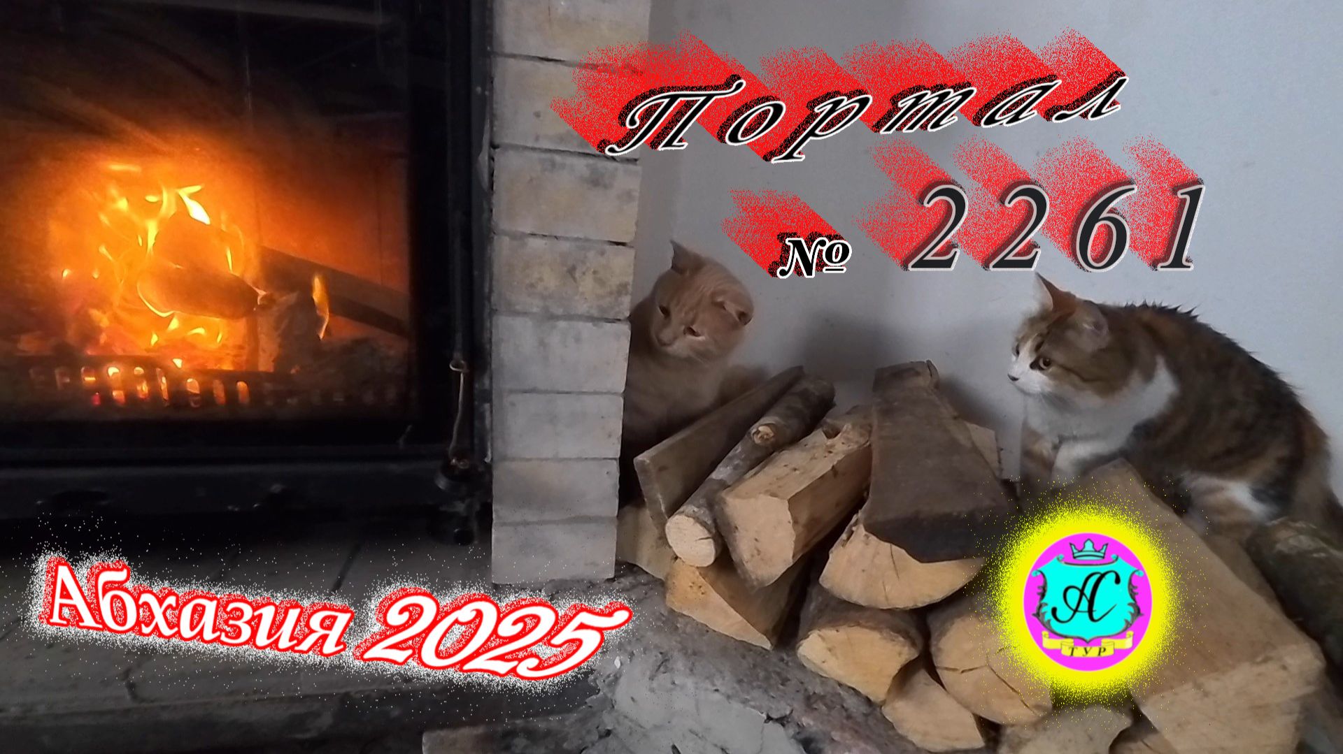 #Абхазия2025🌴 30.12.25г.🔥 Выпуск № 2261❗вчера +8°🌡ночью +2°🌡море +13°🐬 смотреть онлайн