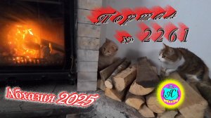 #Абхазия2025🌴 30.12.25г.🔥 Выпуск № 2261❗вчера +8°🌡ночью +2°🌡море +13°🐬