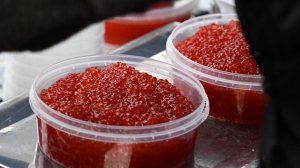 В Подмосковье накрыли цех по производству поддельной икры