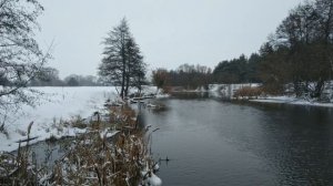 31 декабря - Магическая ночь чудес. Тайный гороскоп.