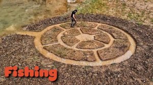 Ловля крупной рыбы с помощью лабиринтной системы / Необычные , системы вылова рыбы !