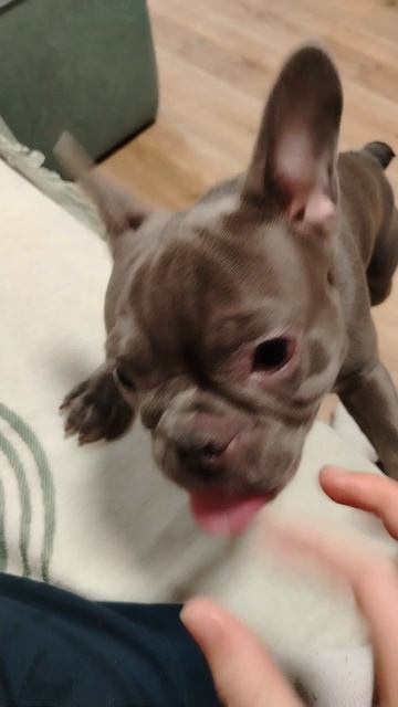 🤣🤣🤣 смотреть онлайн