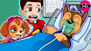 Щенячий патруль и Маршалл. Залипательное видео. Мультфильм для детей и малышей. Анимация 37