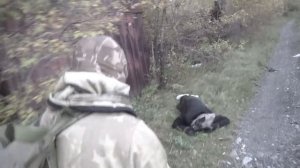 Страшилки Сталкер Роблокс