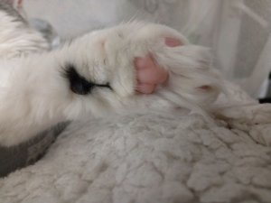 всем приветик