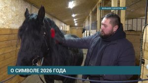 О СИМВОЛЕ 2026 ГОДА