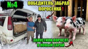 №4 Сарай (свинарник)из шлака блока частично готов👍Заселяем поросят❗️Победитель забрал поросенка😀