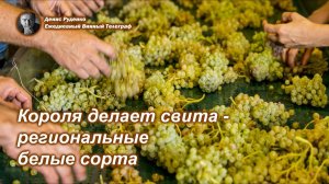 Короля делает свита - региональные белые сорта