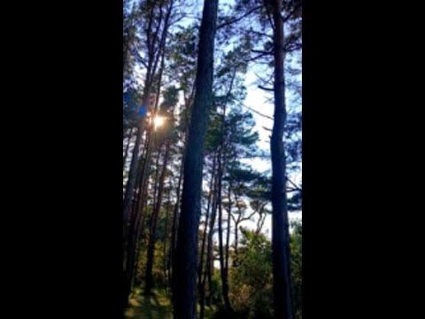 Красота Вокруг ) смотреть онлайн