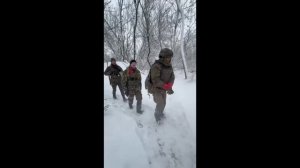 Взяли Хохлов в плен СВО