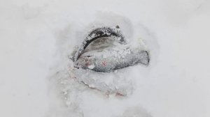 VID_20251230_105401_785