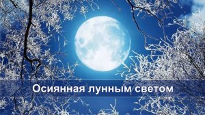 ♬ Осиянная лунным светом (исп. и муз. Светлана Щитникова, сл. Сергей Залежний)