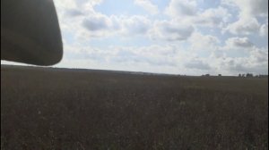 11 ноября 2020 г.