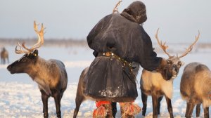 Дед Мороз поздравил оленеводов в ЯНАО