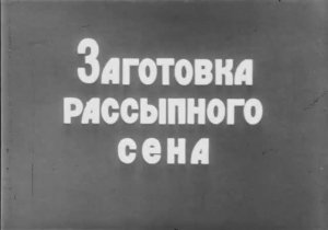 Заготовка Рассыпного Сена 1978 год