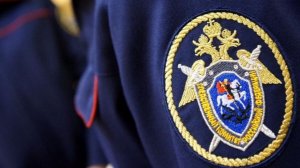 Обвиняемая в убийстве двоих сыновей жительница Иркутска признала вину