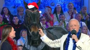 «Поле чудес»Праздничный выпуск 30.12.2025