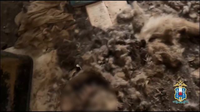 В Батайске в рамках акции «Ёлка желаний» исполнилась мечта юного жителя города смотреть онлайн