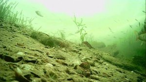 1000007043.mp430.12.2025г.