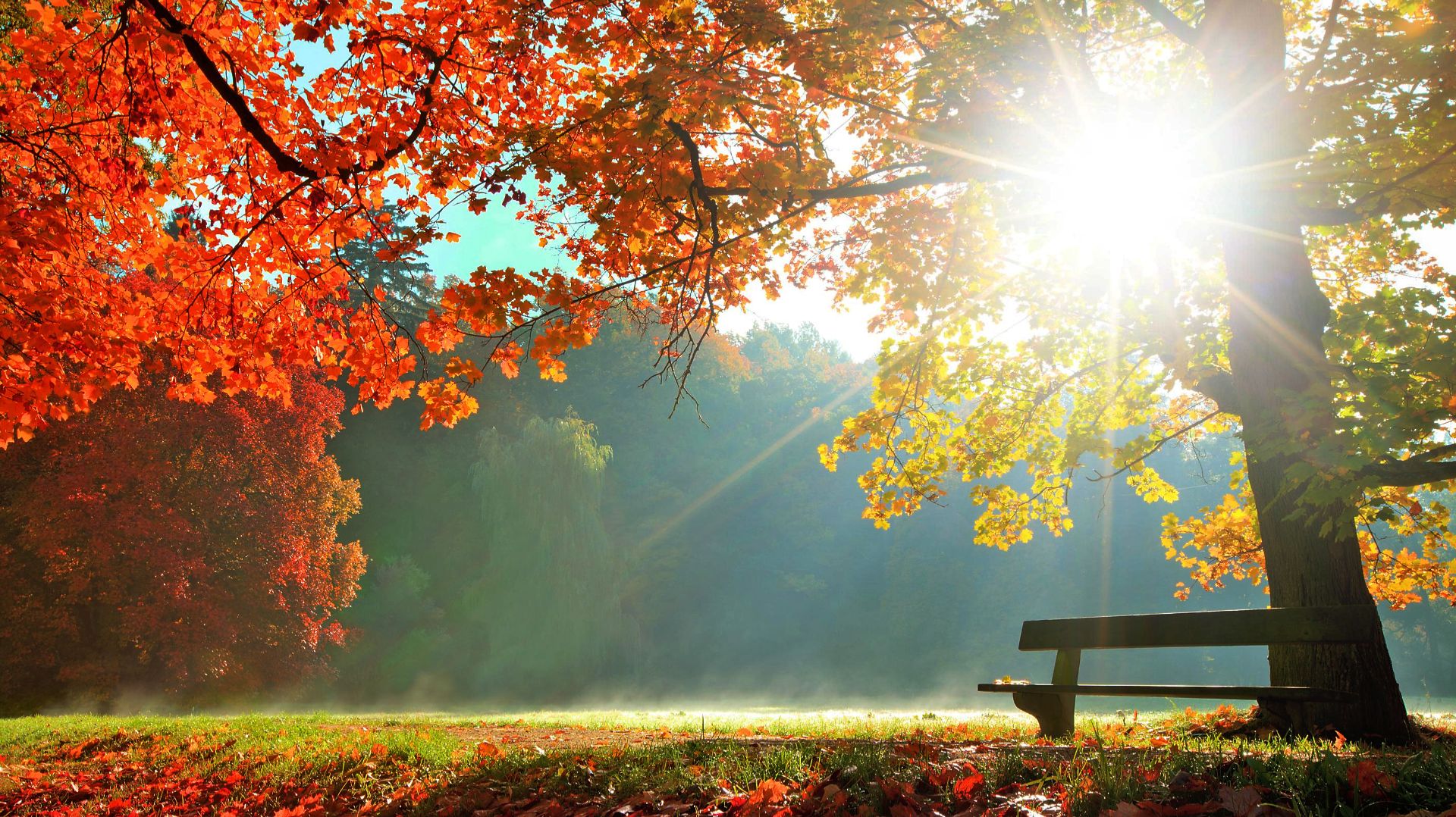 Песня "Осень одарила листопадом..."