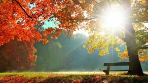 Песня "Осень одарила листопадом..."