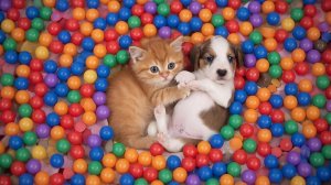 ИИ АНИМАЦИЯ