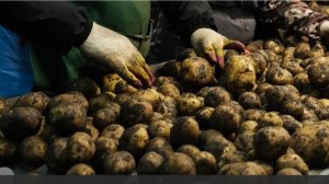 На Украине заявили о нахождении уклонистов «в рабстве» на предприятиях