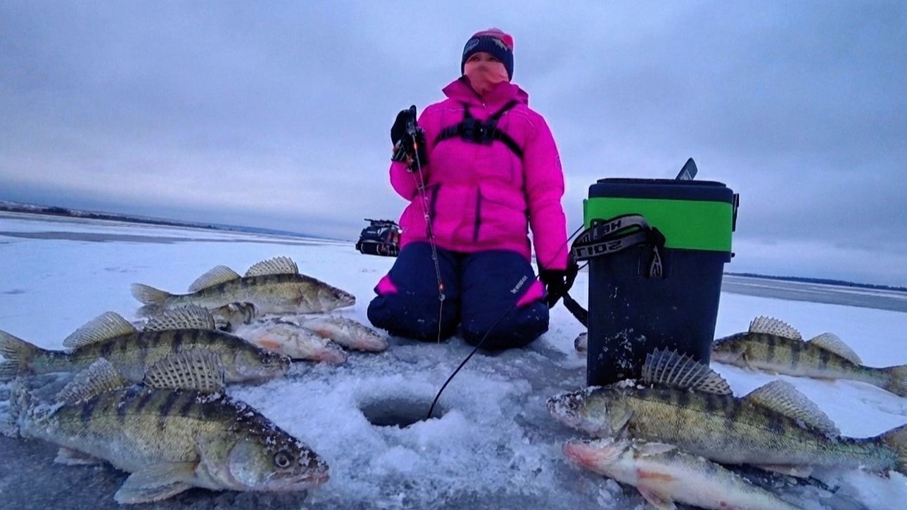 ПЕРВЫЙ ЛЁД! ТУТ ТОЛПА ЧЕЛОВЕК 300 ЛОВИМ СУДАКА! РЫБАЛКА ПО ПЕРВОМУ ЛЬДУ смотреть онлайн